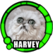 Hinkebein Harvey