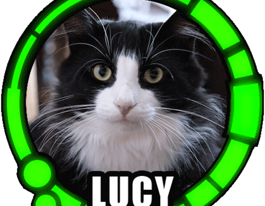 token_lucy.png