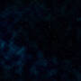 wikibackground.jpg