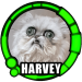 Hinkebein Harvey